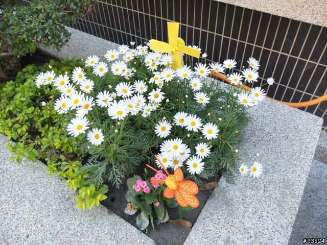 [開箱] 我專屬的獅樂園