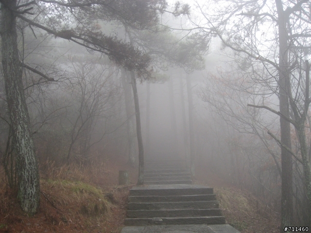 年行萬里 ~ D16 聽得到 看不見的鄱陽湖 廬山-東線景區-五老峰-南昌