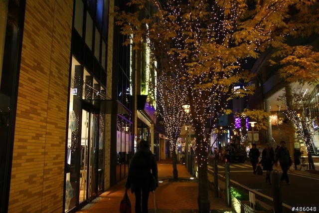 【京都】4# 奈良の紅葉