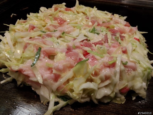 帶著NPFI，輕鬆日本關西行