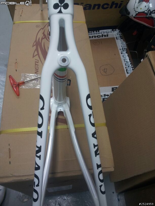 可樂果C59 TEAM EDITIDN