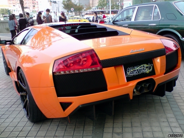 巧遇大牛 Murciélago