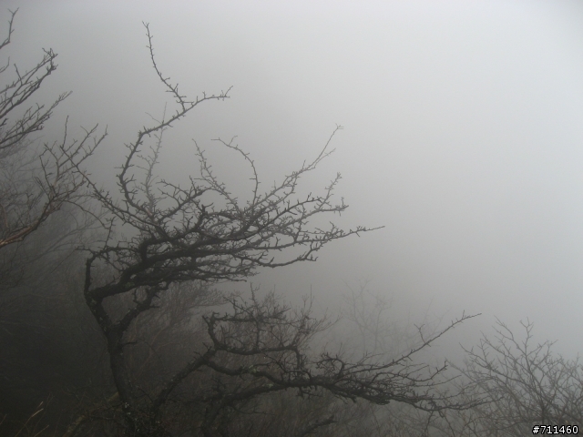 年行萬里 ~ D16 聽得到 看不見的鄱陽湖 廬山-東線景區-五老峰-南昌