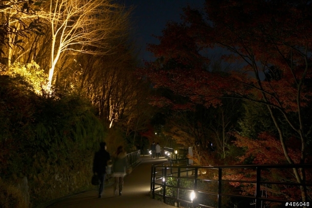 【京都】3# 清水寺