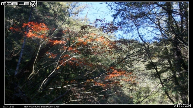 以這幾張照片來請教大家在白平衡上的設定12/11修改回復