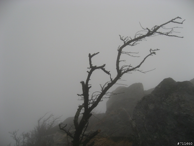 年行萬里 ~ D16 聽得到 看不見的鄱陽湖 廬山-東線景區-五老峰-南昌