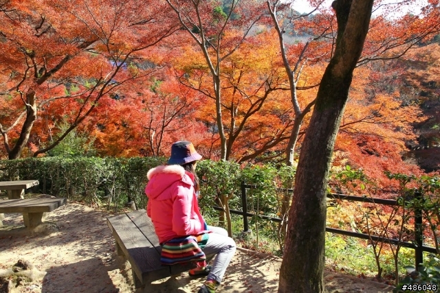【京都】3# 清水寺