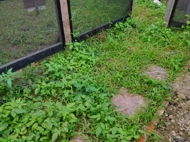我也來一發-自製除草機