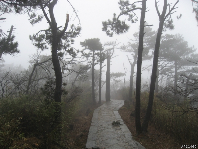 年行萬里 ~ D16 聽得到 看不見的鄱陽湖 廬山-東線景區-五老峰-南昌