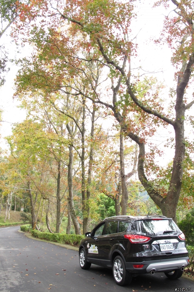 KUGA 24小時免費試乘之海儀16期兄弟好久不見