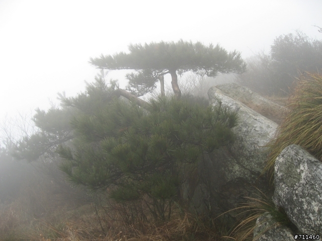 年行萬里 ~ D16 聽得到 看不見的鄱陽湖 廬山-東線景區-五老峰-南昌