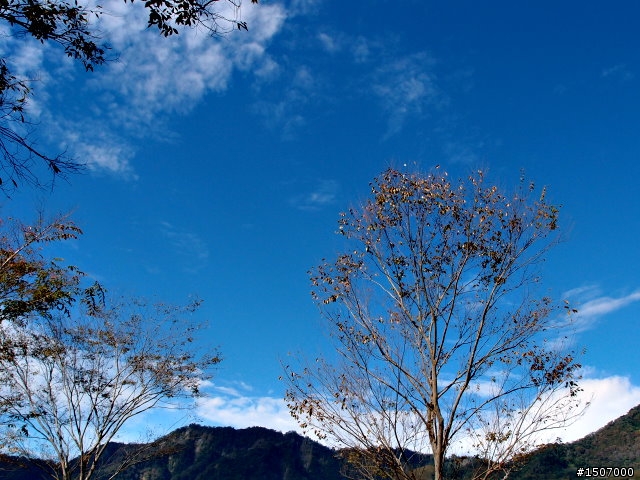 老灰狼 -- 丸田砲台遺址