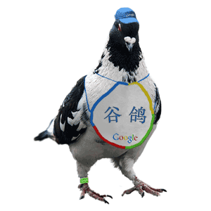 平平都是小鳥為什麼就差那麼多~~~~~