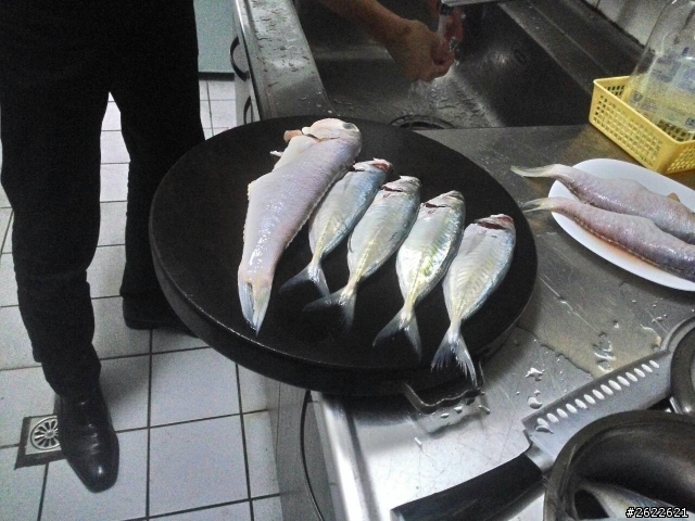 麻煩各位大大解答 這條魚叫什麼~