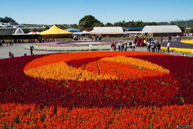 分享單腳架增高術及高角度拍攝