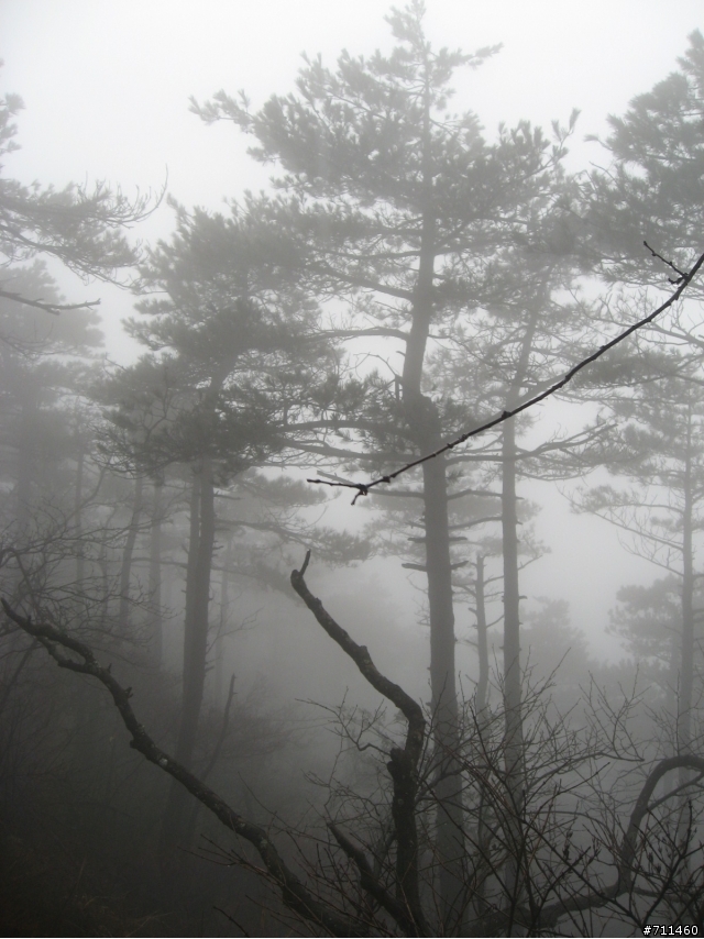 年行萬里 ~ D16 聽得到 看不見的鄱陽湖 廬山-東線景區-五老峰-南昌