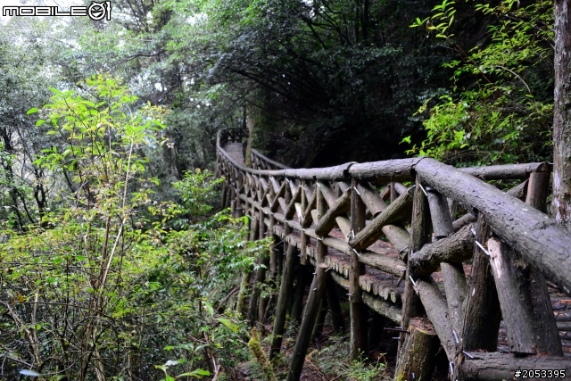 大雪山稍來山楓情