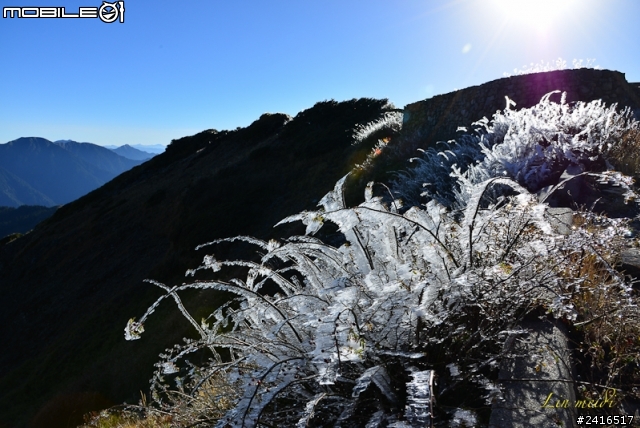 冰晶合歡山照片分享