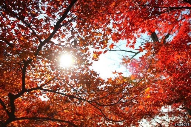 【京都】3# 清水寺