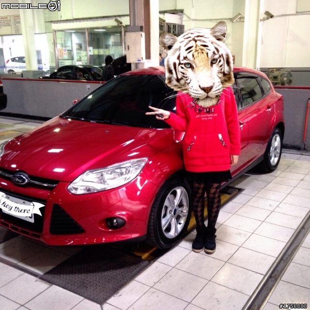 女孩兒的第一部車 Ford Focus 1.6 6W (灑花)