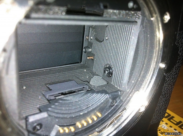CANON 1D MARK II俗稱小兔的18.9萬次快門實拍照