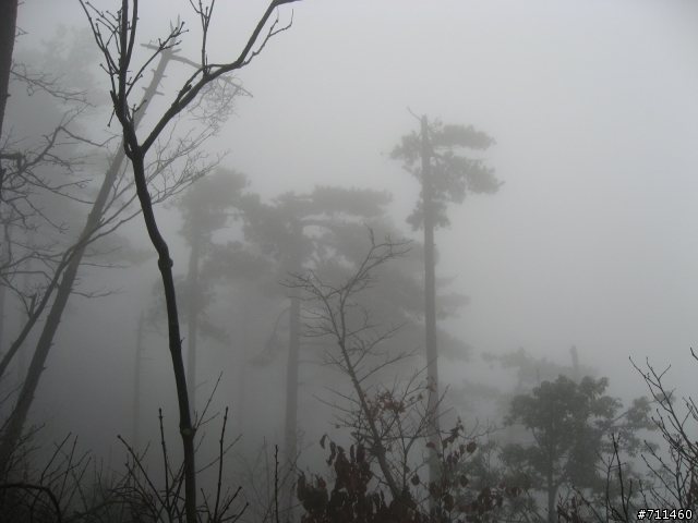 年行萬里 ~ D16 聽得到 看不見的鄱陽湖 廬山-東線景區-五老峰-南昌