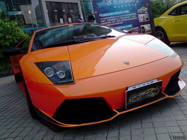 巧遇大牛 Murciélago