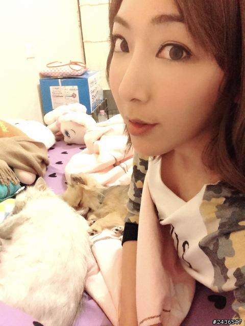 大家喜歡上粉絲團 看漂亮的正咩圖嗎 XD