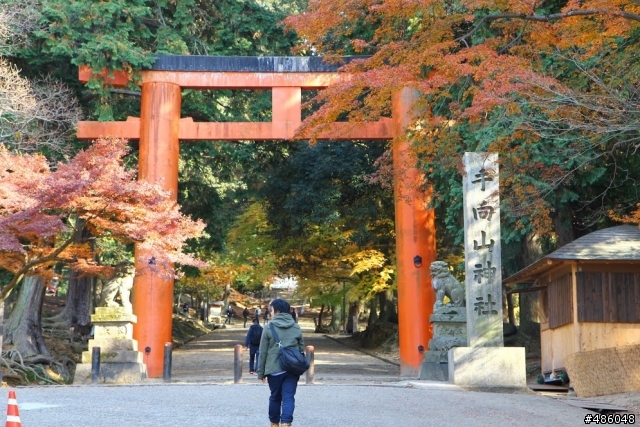 【京都】4# 奈良の紅葉