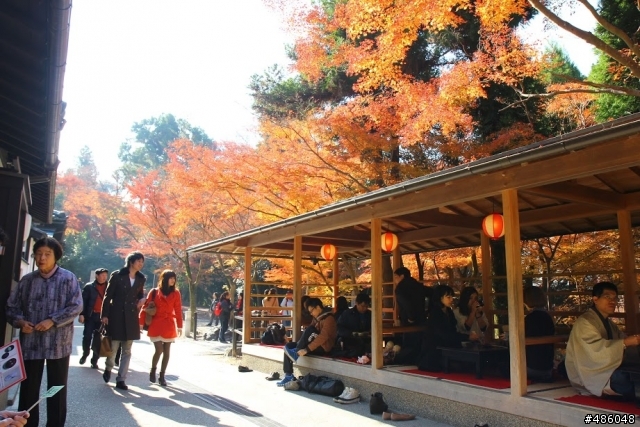 【京都】3# 清水寺