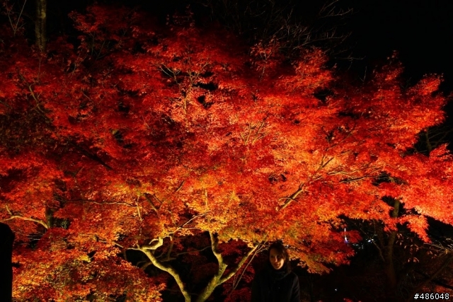 【京都】3# 清水寺