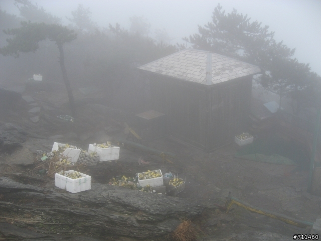 年行萬里 ~ D16 聽得到 看不見的鄱陽湖 廬山-東線景區-五老峰-南昌