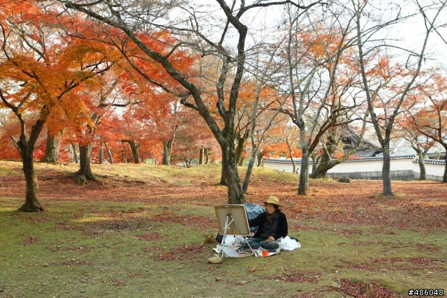 【京都】4# 奈良の紅葉