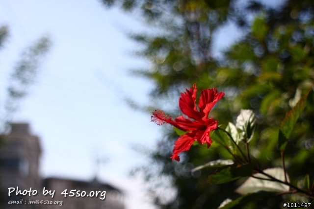 [開箱] Vivitar 28mm F2.5 M42 老鏡不死