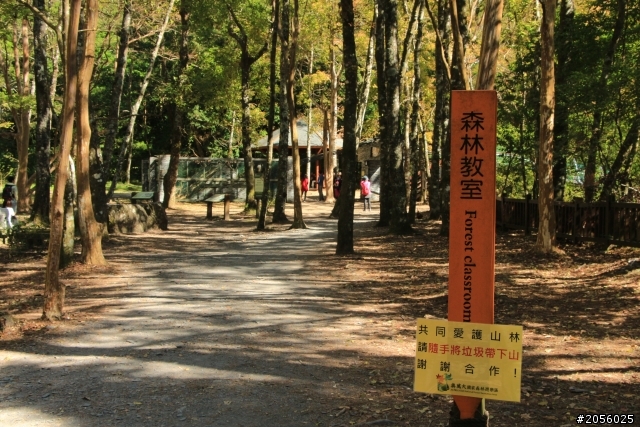 我的第一次拜訪奧萬大森林遊樂區