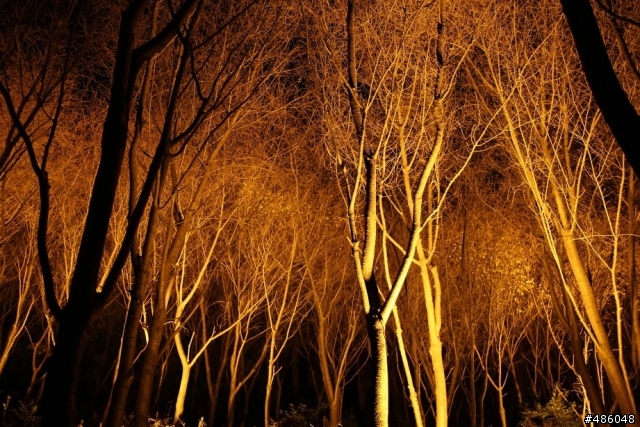 【京都】3# 清水寺