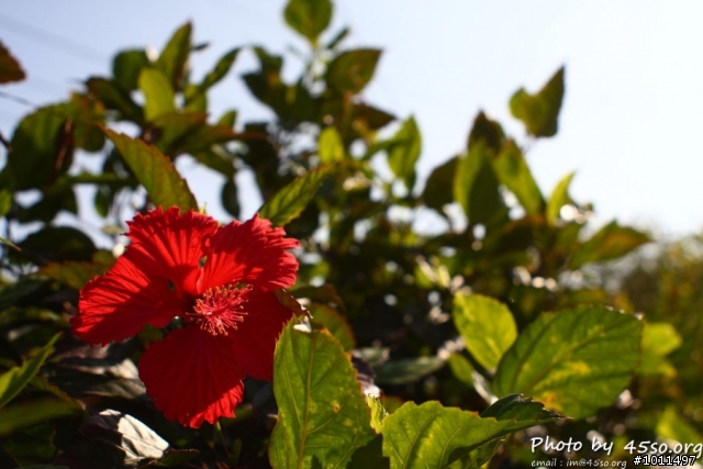 [開箱] Vivitar 28mm F2.5 M42 老鏡不死