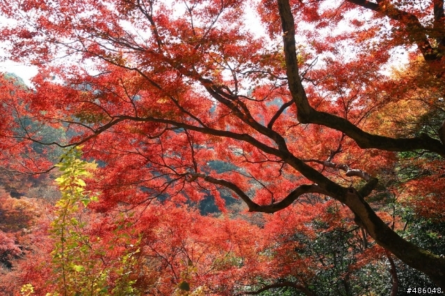 【京都】3# 清水寺