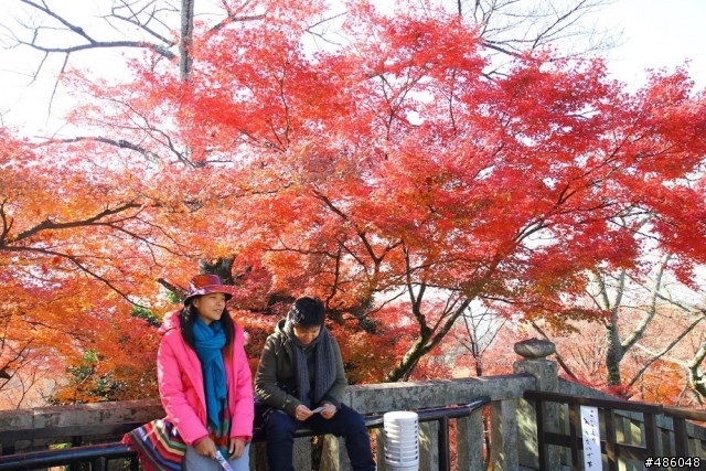 【京都】3# 清水寺