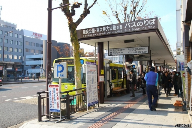 【京都】4# 奈良の紅葉