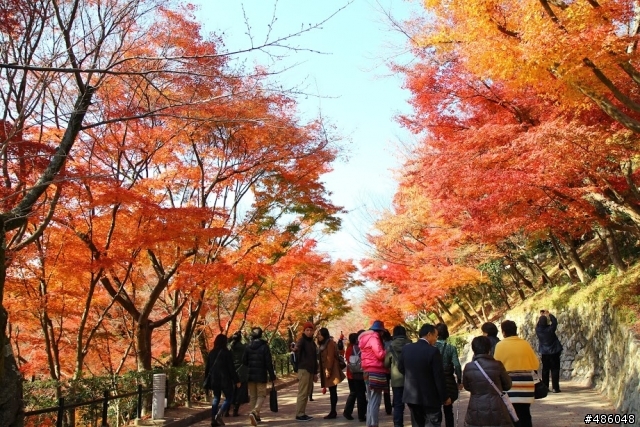 【京都】3# 清水寺