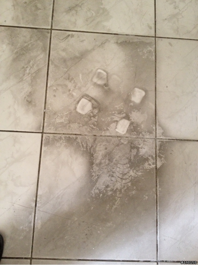 家裡地板一區塊變黑，要如何請潔??