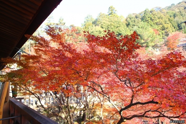 【京都】3# 清水寺