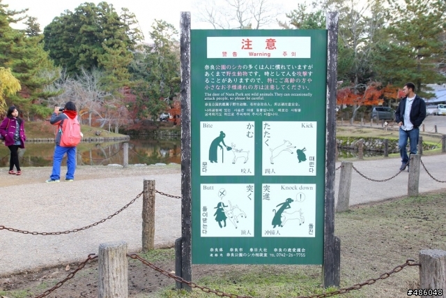 【京都】4# 奈良の紅葉