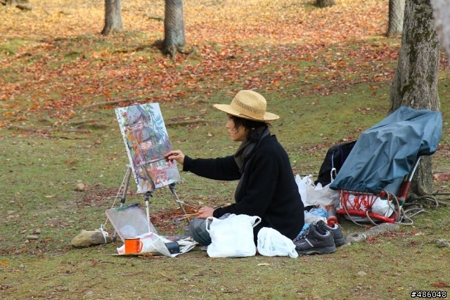 【京都】4# 奈良の紅葉