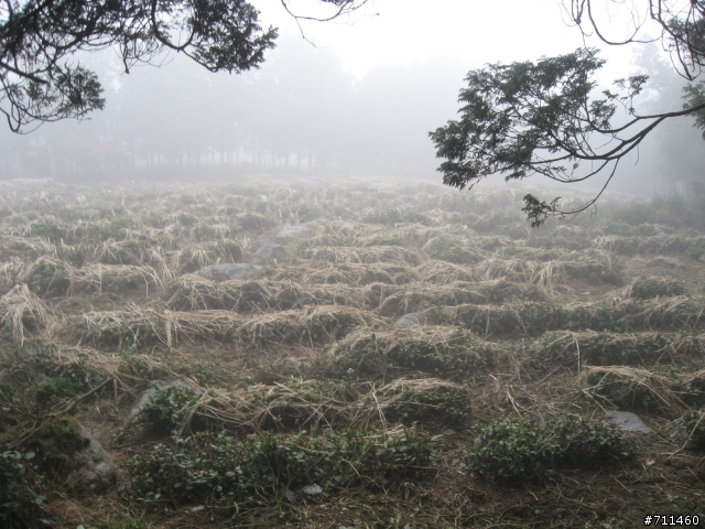 年行萬里 ~ D16 聽得到 看不見的鄱陽湖 廬山-東線景區-五老峰-南昌