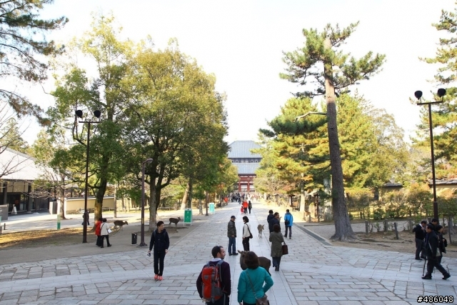 【京都】4# 奈良の紅葉