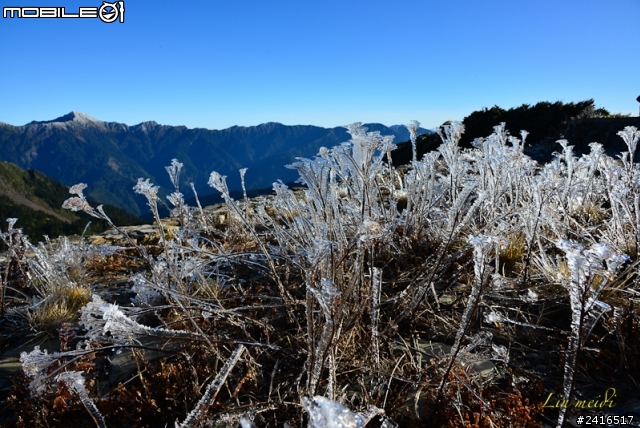 冰晶合歡山照片分享