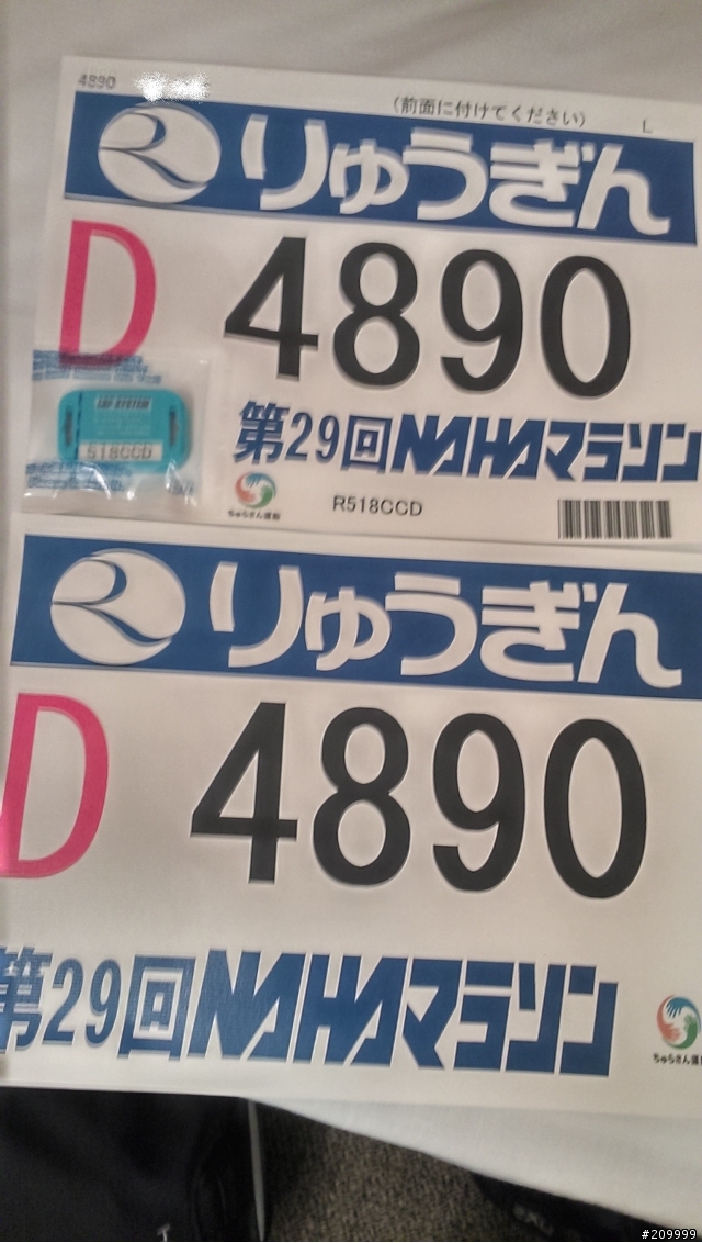 心得分享 20131201 29屆那霸馬拉松