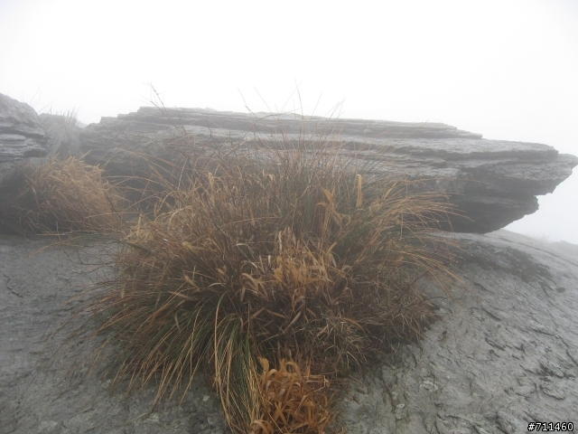 年行萬里 ~ D16 聽得到 看不見的鄱陽湖 廬山-東線景區-五老峰-南昌